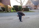 IMG 1775