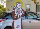 IMG 3391
