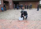 IMG 4053