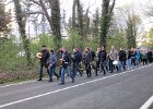 IMG 4729