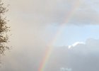 IMG 4737