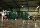 IMG 5573