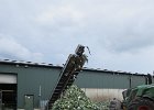 IMG 5595