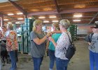 IMG 5598