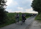 IMG 5630
