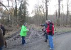 IMG 6249