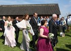 IMG 6689