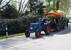 IMG 6769