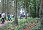 IMG 3104
