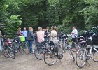 IMG 3130