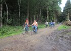 IMG 3133