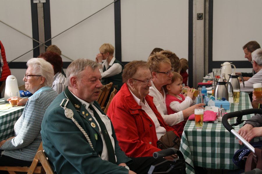 IMG 7808