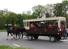 IMG 7489