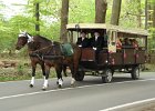 IMG 7507