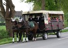 IMG 7517