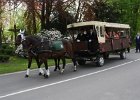 IMG 7714