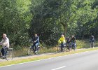 IMG 8524