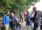 IMG 8571