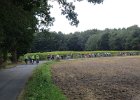IMG 8580
