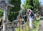 IMG 0004