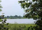 IMG 9769