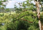 IMG 9931