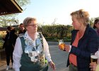 IMG 3785