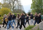 IMG 4348