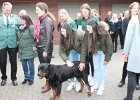 IMG 4391