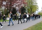 IMG 4419