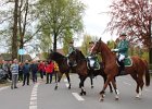 IMG 4992