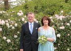 IMG 4790