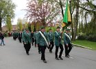 IMG 4985
