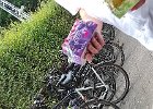 IMG-20220820-WA0006