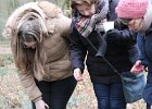 IMG 5978