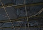 IMG 5531